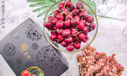 春樹櫻桃｜原來櫻桃也能這麼質感好吃